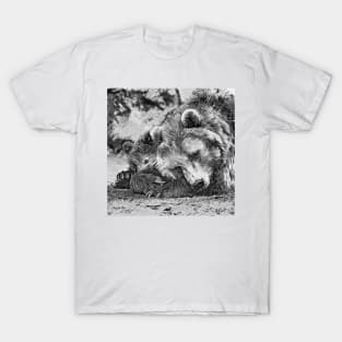 AnimalArtBW Bear 002 T-Shirt